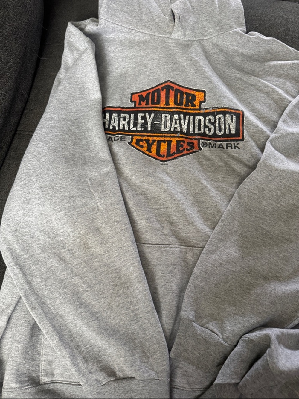 Harley-Davidson Gray Hoodie with Orange & Black Logo